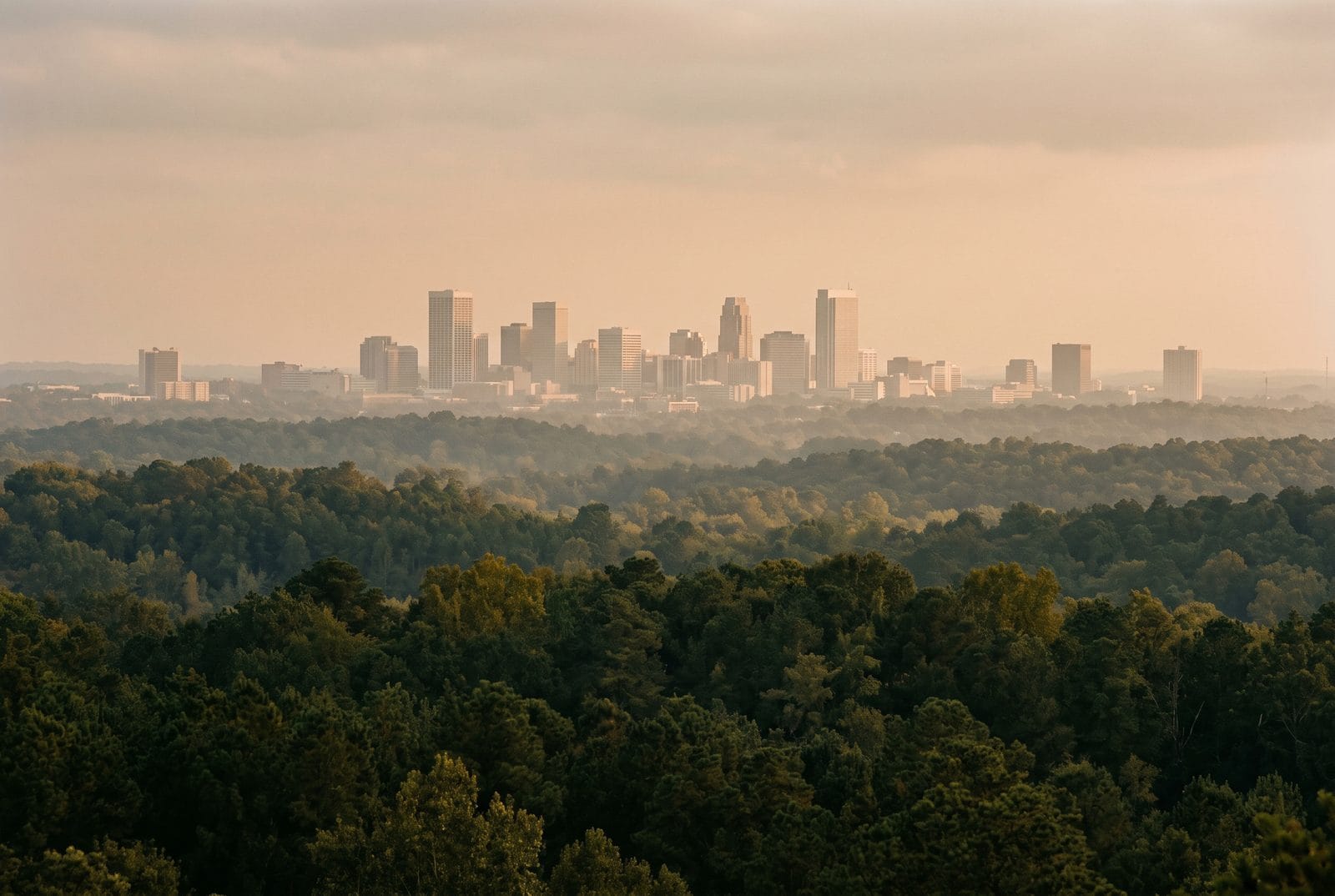 A distant city skyline seen across wooded ridges in late afternoon haze